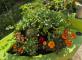 Le potager de la résidence Les Jardins d'Epinay Les Jardins d'Epinay Epinay-sur-Seine